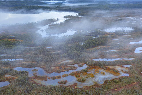 Aerial view of Ozero Rybachye lake, Roschinskoe, Karelia, Russia. - AAEF28416