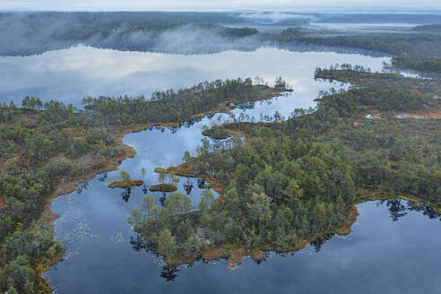 Aerial view of misty lake with foggy reflections in boreal forest, Karelia, Russia. - AAEF28417
