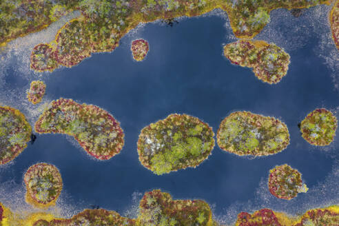 Aerial view of Ozero Rybachye lake, Karelia, Russia. - AAEF28419