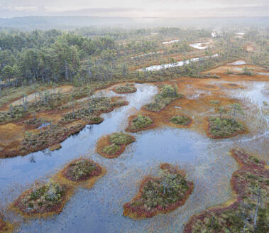 Aerial view of Ozero Rybachye lake in autumn colors with mist, Roschinskoe, Karelia, Russia. - AAEF28422