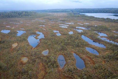 Aerial view of natural wetlands and forests with Ozero Rybachye lake, Roschinskoe, Karelia, Russia. - AAEF28423
