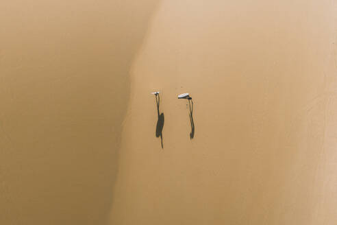 Luftaufnahme von zwei Surfern und ihrem Schatten an einem goldenen Strand in Peniche, Portugal. - AAEF28455