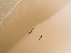 Luftaufnahme von zwei Surfern und ihrem Schatten an einem goldenen Strand in Peniche, Portugal. - AAEF28456