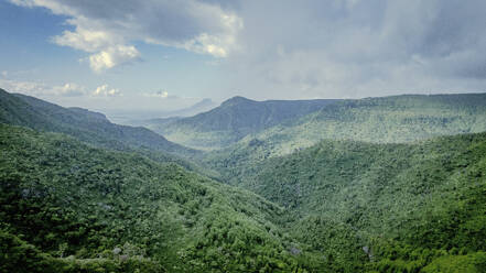 Aerial view of Gorge de la Riviere Noire, Mauritius. - AAEF28487