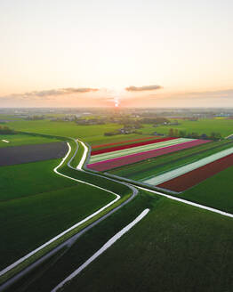Aerial Drohne Blick auf bunte Tulpenfelder und grüne Landschaften, Sonnenaufgang Frühling in Holland, die Niederlande. - AAEF28569