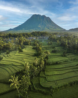 Aerial view of Mount Agung and paddy fields, Karangasem, Bali, Indonesia. - AAEF28575