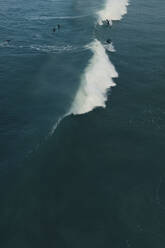 Aerial view of a beautiful wave and the surfers in Portugal. - AAEF28591