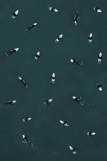 Aerial view of a many surfers swimming in the sea, in Portugal. - AAEF28600