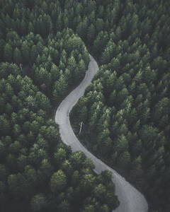 Aerial view of a road among the trees in Sicily, Italy. - AAEF28644