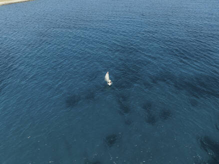 Aerial view of a white boat sailing in the sea of Sicily, Italy. - AAEF28672