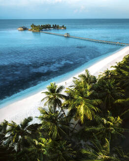 Aerial view of a beautiful beach resort with palm trees, footbridge, and jetty in Alif Alif Atoll, Maldives. - AAEF28706