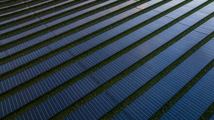 Aerial Drone view of reflective solar panels during sunset, green energy farm, The Netherlands. - AAEF28713