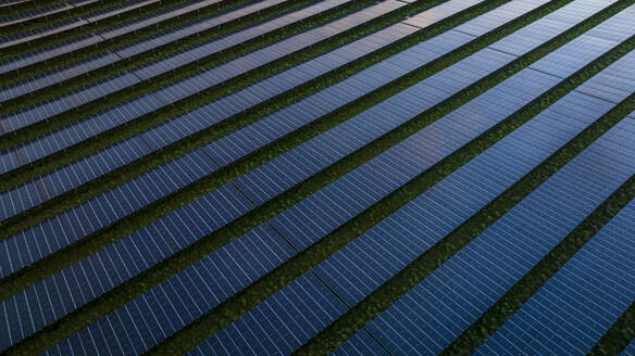 Aerial Drone view of reflective solar panels during sunset, green energy farm, The Netherlands. - AAEF28713