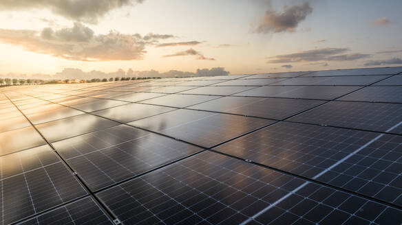 Aerial Drone view of reflective solar panels during sunset, green energy farm, The Netherlands. - AAEF28714