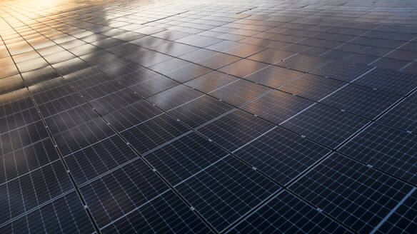 Aerial Drone view of reflective solar panels during sunset, green energy farm, The Netherlands. - AAEF28715