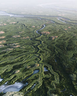 Aerial drone view of swamp, mashland, wetland, Verdronken Land van Saeftinghe, The Netherlands. - AAEF28727