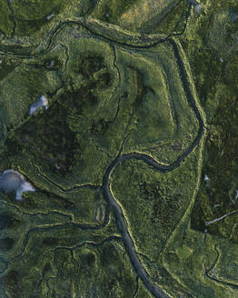 Aerial drone view of swamp, mashland, wetland, Verdronken Land van Saeftinghe, The Netherlands. - AAEF28729