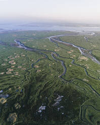 Aerial drone view of swamp, mashland, wetland, Verdronken Land van Saeftinghe, The Netherlands. - AAEF28730
