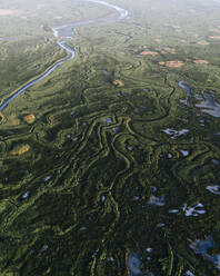 Aerial drone view of swamp, mashland, wetland, Verdronken Land van Saeftinghe, The Netherlands. - AAEF28731