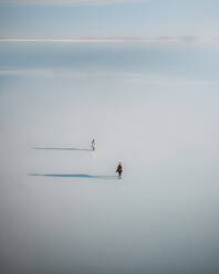 Aerial drone view of people at salt flats in Uyuni salt lake, Bolivia. - AAEF28739