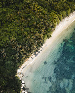 Aerial drone view of the beach in the Tayrona National Natural Park in Santa Marta, Magdalena, Colombia. - AAEF28758