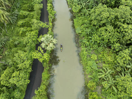 Luftaufnahme eines Bootes, das im schwimmenden Guavengarten mit schöner grüner Landschaft in Pirojpur, Barisal, Bangladesch, segelt. - AAEF28885