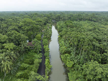 Luftaufnahme eines schwimmenden Guavengartens mit schöner grüner Landschaft in Pirojpur, Barisal, Bangladesch. - AAEF28887