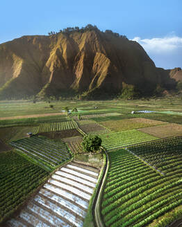Luftaufnahme von Bukit Selong mit terrassenförmig angelegten Feldern und Plantagen, Ost-Lombok, West Nusa Tenggara, Indonesien. - AAEF28954