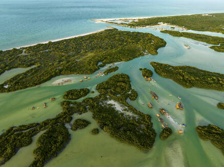 Luftaufnahme des Mangrovenschutzgebiets in Churburna Puerto, Yucatan, Mexiko. - AAEF28972