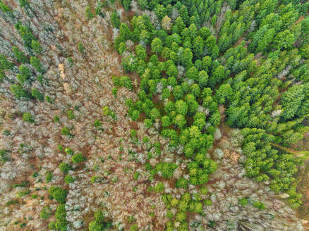 Luftaufnahme des Berggebiets Thann im Haut-Rhin, im Grand East, Elsass, Frankreich. - AAEF29011