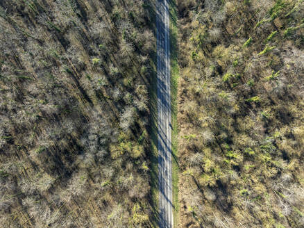 Luftaufnahme einer Straße in den Wald in der Nähe von Kembs im Haut-Rhin, im Grand East, Elsass, Frankreich. - AAEF29038