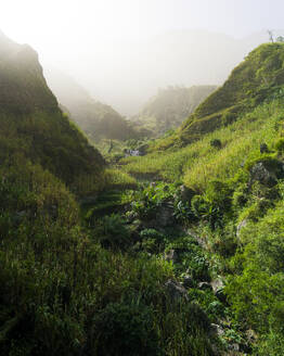 Drohnenaufnahme eines warmen, grünen Bergtals bei Sonnenaufgang, Berghintergrund mit Sandsturm, Insel Santo Antao, Kap Verde. - AAEF29128