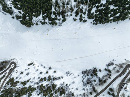 Luftaufnahme des Monte Boldone mit verschneiten Alpen und Pinien, Trentino, Italien. - AAEF29202
