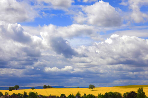Germany, Saxony, Thick clouds over oilseed rape field in summer - JTF02412