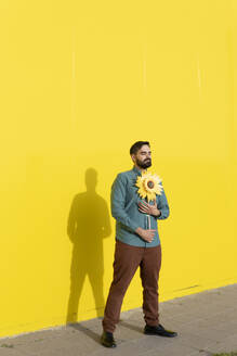Man posing relaxed dressed in an aquamarine shirt picking up a sunflower. Yellow background. Granada, Spain. - MGRF01265