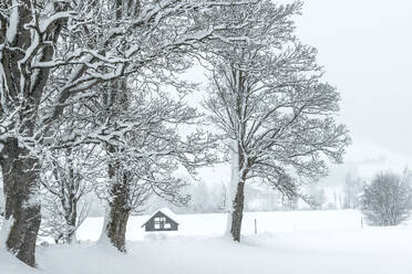 Austria, Salzburger Land, Altenmarkt, Secluded hut in winter landscape - HHF05946