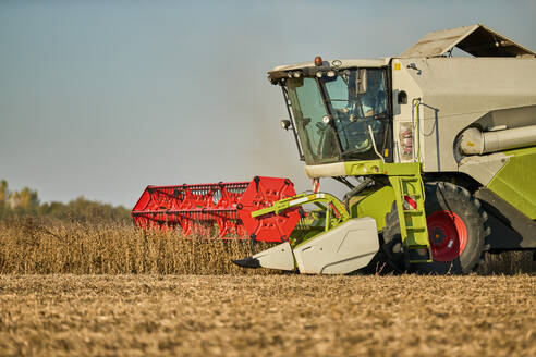 Serbia, Vojvodina. Combine harvester harvesting soybean at an agricultural farm. - NOF00956