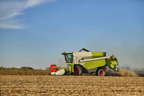 Landwirt bei der Arbeit mit dem Mähdrescher auf einem Sojabohnenfeld - NOF00957