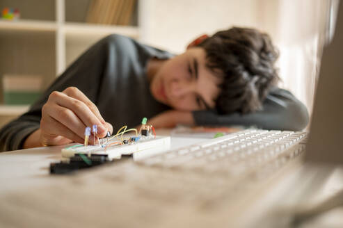 Junge stellt elektrischen Mikrocontroller in der Nähe der Tastatur zu Hause ein - ANAF02821