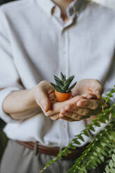 Geschäftsmann hält kleine sukkulente Topfpflanze in den Händen - YTF02159