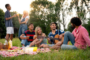 Eine Gruppe multiethnischer Jugendlicher verbringt ihre Zeit bei einem Picknick im Park. Konzept über die Generation Z, Lebensstil und Freundschaft - DMDF11526