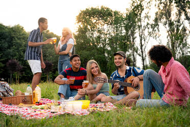 Eine Gruppe multiethnischer Jugendlicher verbringt ihre Zeit bei einem Picknick im Park. Konzept über die Generation Z, Lebensstil und Freundschaft - DMDF11527