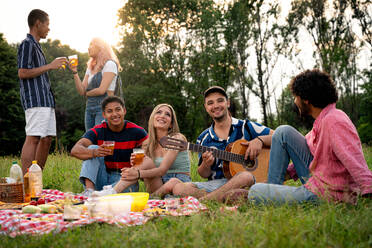 Eine Gruppe multiethnischer Jugendlicher verbringt ihre Zeit bei einem Picknick im Park. Konzept über die Generation Z, Lebensstil und Freundschaft - DMDF11530