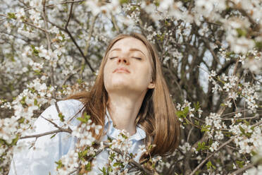 Schöne Frau inmitten von Kirschblüten auf einem Baum - ELMF00201