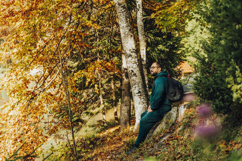 Wanderer rastet auf einem Baumstumpf im Wald - OSF02473