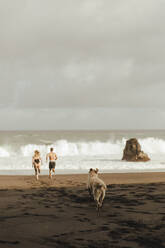 Dog running behind couple towards sea at beach - ACPF01585
