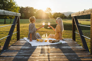 Friends toasting wineglasses sitting in park - NDEF01671