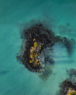 Luftaufnahme des klaren blauen Wassers und der tropischen Landschaft, Grand Baie, Mauritius. - AAEF29707