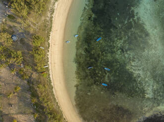 Luftaufnahme des Strandes Trou d'Argent, Rodrigues, Mauritius. - AAEF29775
