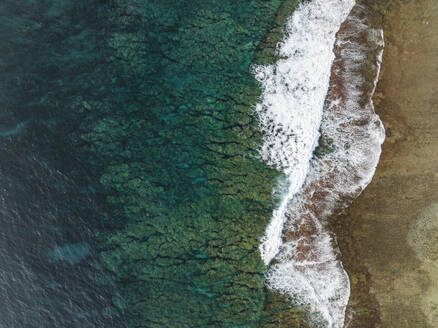 Luftaufnahme des Strandes Trou d'Argent, Insel Rodrigues, Mauritius. - AAEF29782